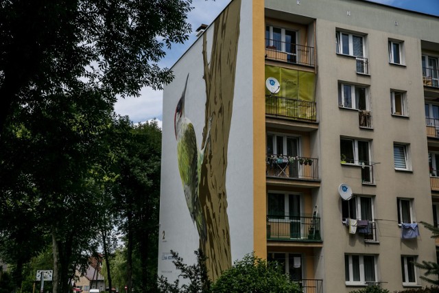 Kraków. Piękny mural na Kozłówku. Spółdzielnia zapowiada kolejne
