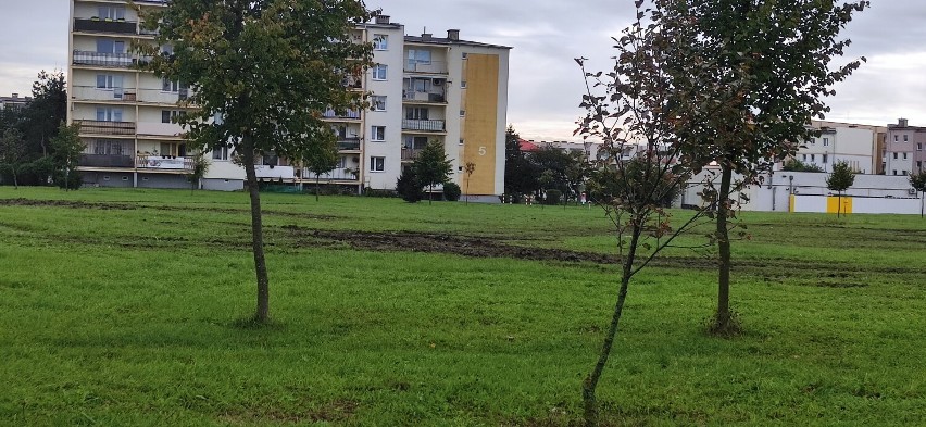 Malbork. Plac św. Urszuli Ledóchowskiej został rozjeżdżony. Magistrat zapewnia, że szkody pokryje ekipa cyrkowa, która dzierżawiła teren