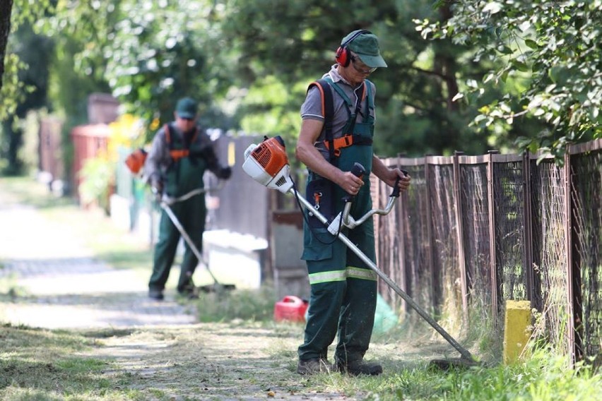 Chełm. Kosy i kosiarki poszły w ruch. Trawy zostaną skoszone w całym mieście