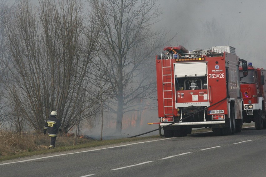 Pożar traw w Legnicy (ZDJĘCIA)