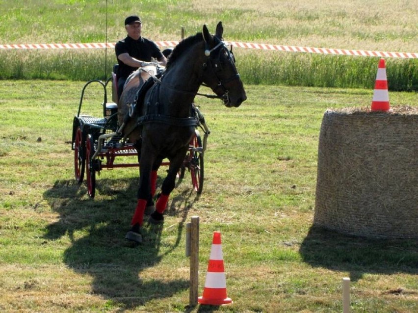 Święto Kwitnącego Różanecznika 2015