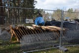 4 miliony na park Leśny już wydane. Podoba Wam się to co zrobiono za te pieniądze? [ZDJĘCIA]  