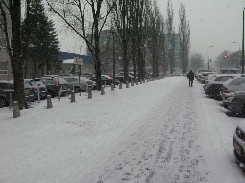 Obfite opady śniegu w Warszawie (ZDJĘCIA)
