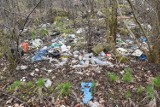 Problem śmieci na ul. Kokoszki. Dziesiątki odpadów zalegają przy drodze
