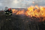 Radomsko/powiat: Strażacy gaszą coraz więcej pożarów suchych traw