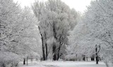 Prognoza pogody dla Szczecina: Dziś i jutro chłodno. W święta przyjdzie ocieplenie