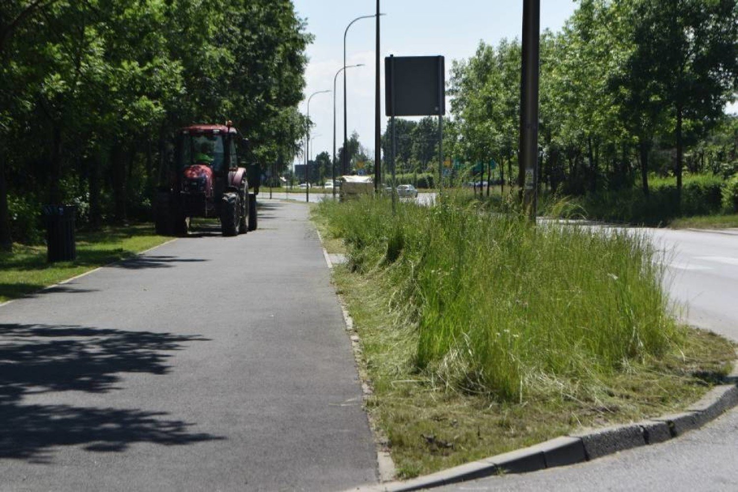 Wznawiają koszenie trawy w Żorach. Wcześniej wstrzymano pokosy ze względu  na suszę | Żory Nasze Miasto