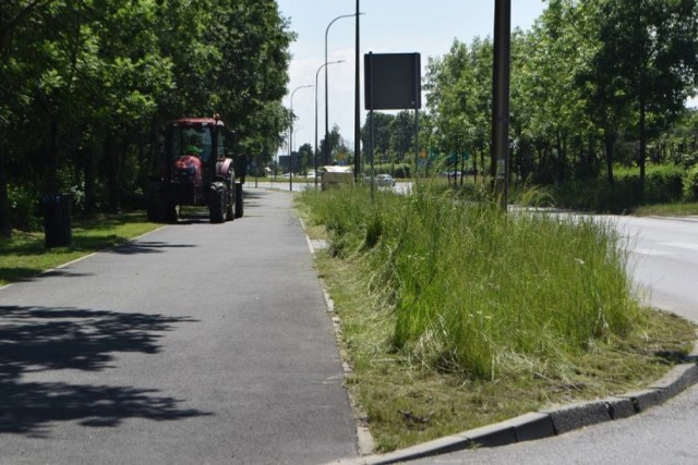 W Żorach wznawiają koszenie trawy