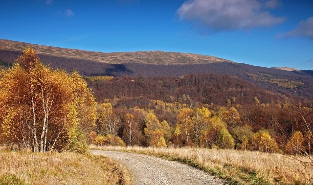 szlak na Rawki