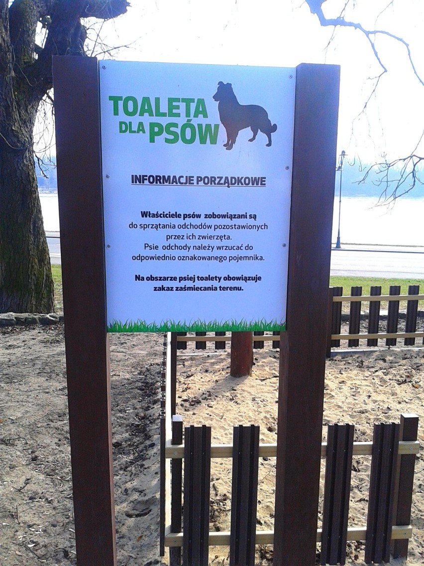  W Toruniu powstają wybiegi dla psów oraz toalety 