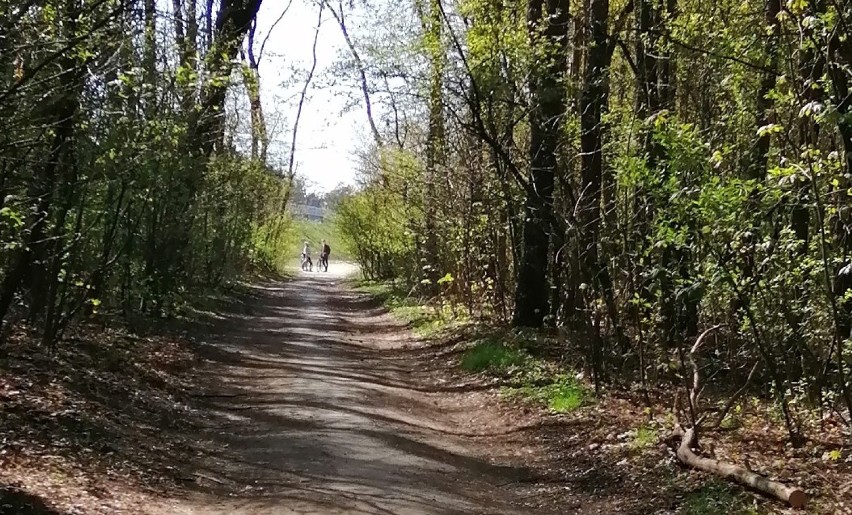 Motocykle i quady w lasach: policja i straż leśna kontrolowały w gminie Szadek