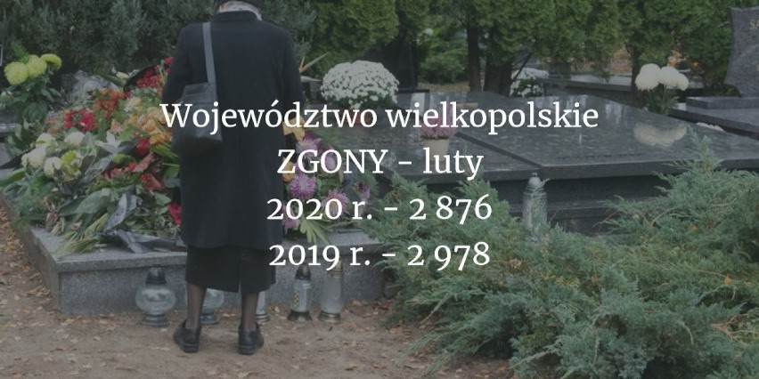 Ile osób zmarło w Wielkopolsce w ubiegłym roku? Jak COVID-19...