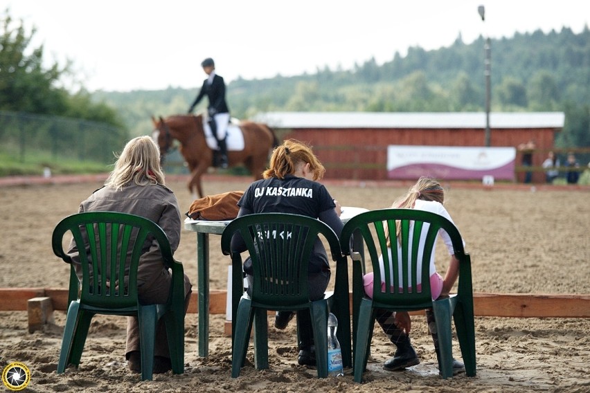 Zawody jeździeckie w Parkoszowicach 23 sierpnia 2014