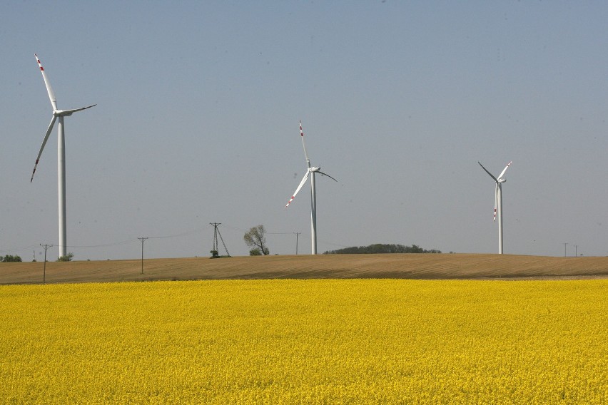 Farmy Wiatrowe w Pietrowicach Wielkich mogą powstać jeszcze...