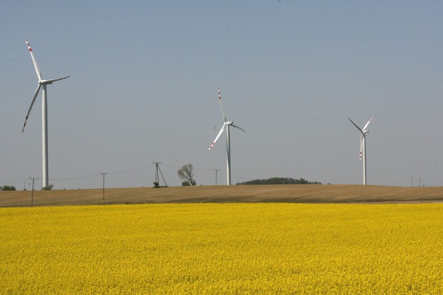 Farmy Wiatrowe w Pietrowicach Wielkich mogą powstać jeszcze w tym roku