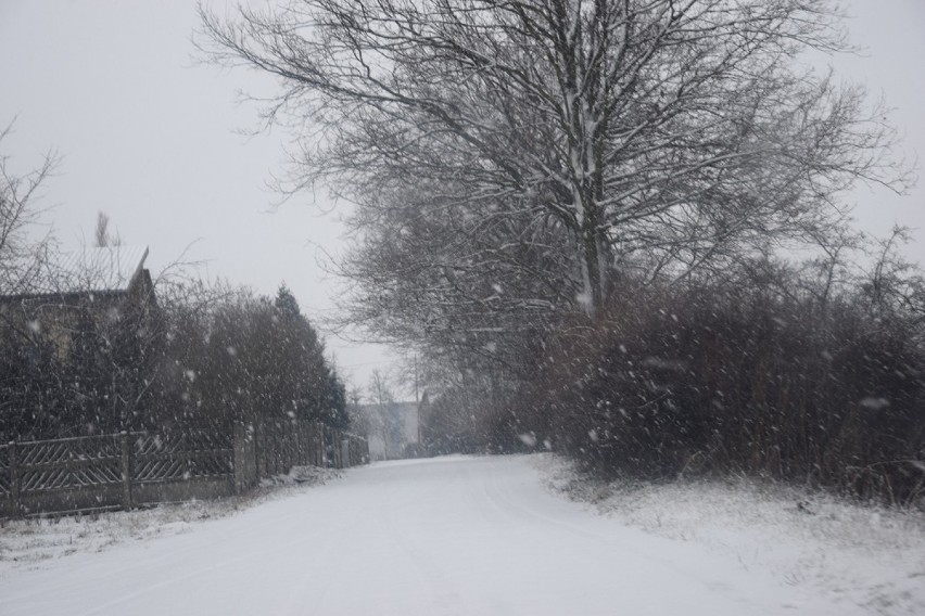 Zima przyszła do Zduńskiej Woli. Jak wyglądały ulice w środę, 29 stycznia? [zdjęcia]