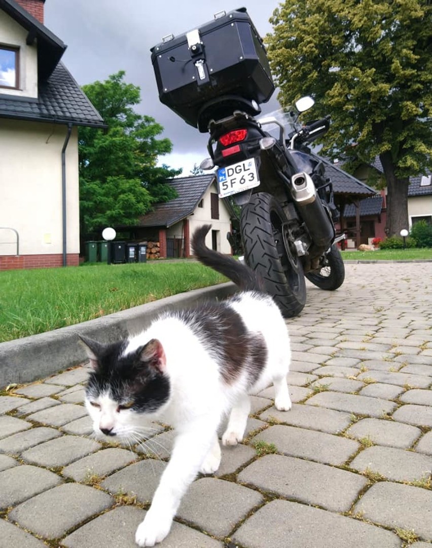 Głogów: Sławomir Majewski objechał Polskę dookoła na motocyklu. ZDJĘCIA