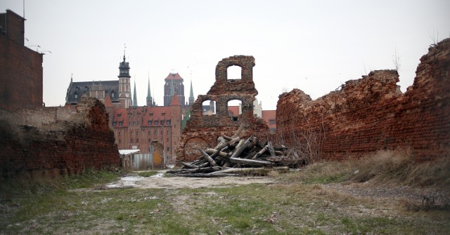 Wyspa Spichrzów od lat nie jest zagospodarowana.