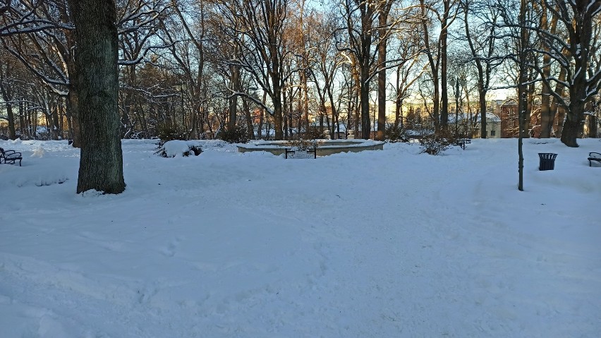 Ogród Saski przykryty białą pierzynką. Zobacz zdjęcia z zimowego spaceru