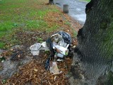 Gliwice: Dzikie wysypiska śmieci tworzył mężczyzna, który miał wywozić śmieci