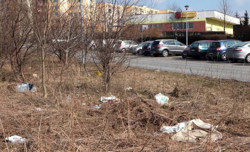 Skarpa nadwiślańska na skraju osiedla Strzemięcin jest...