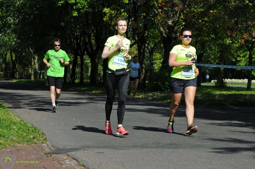 Parkowy Półmaraton 2016 w Parku Śląskim [ZDJĘCIA i WYNIKI]. Część I