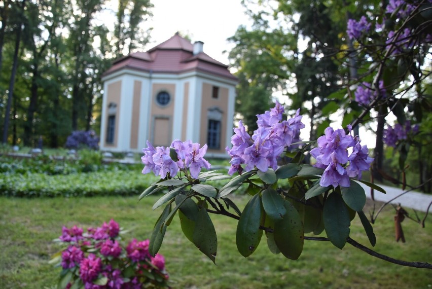 Park przy zamku Książ