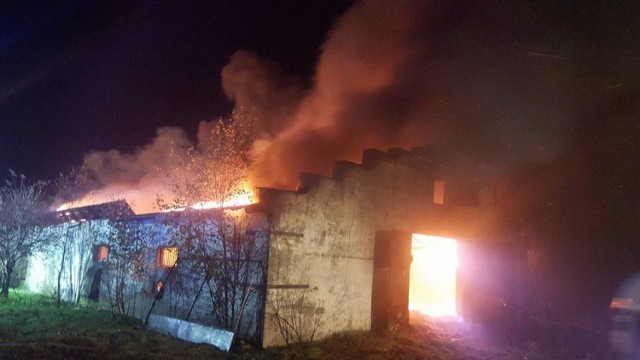 Pożar kurnika w Mezowie wybuchł około 21. Mimo sprawnej akcji strażaków, obiekt spłonął niemal doszczętnie.