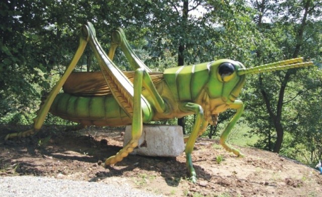 Takie gigantyczne owady można zobaczyć w Wapowcach pod Przemyślem. Podobne będą atrakcją ścieżki turystycznej w gminie Miejsce Piastowe