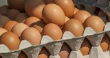 Jajka z salmonellą w Wielkopolsce - uważajcie na te firmy! [LISTA]