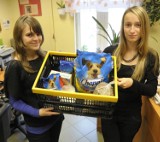 Uczniowie gimnazjum nr 6 zbierają karmę dla psów mieszkających w opolskim schronisku