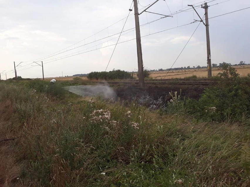 Pożar trawy na nasypie kolejowym w Solnikach   
