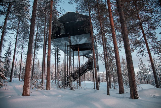 Hotel-domek na drzewie w Szwecji. Widoki warte każdych pieniędzy! [ZDJĘCIA]