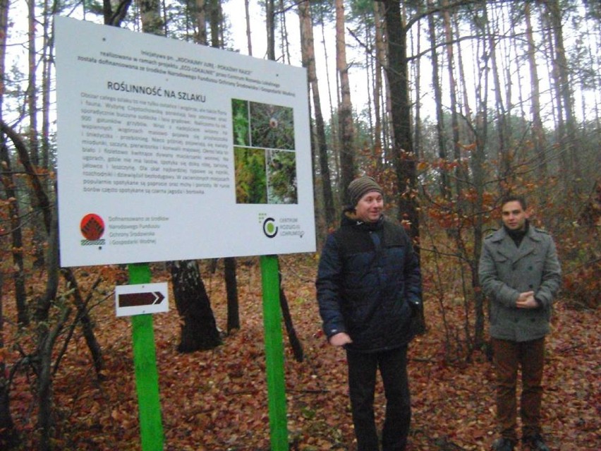 Nowy szlak turystyczny w gminie Żarki. Prowadzi do urokliwych skałek w Przewodziszowicach