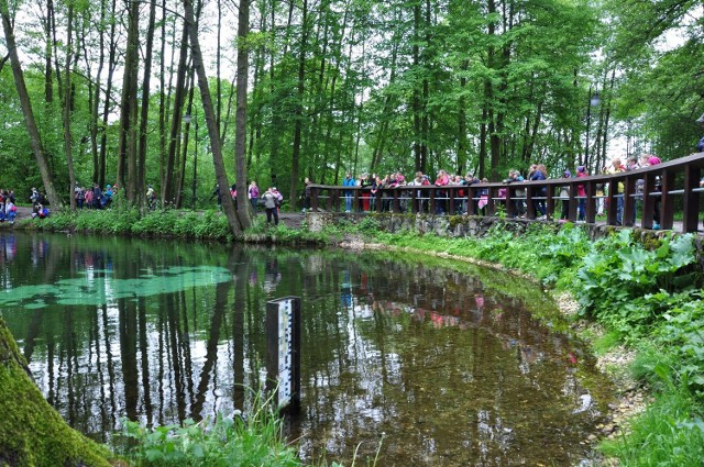 Rezerwat Niebieskie Źródła