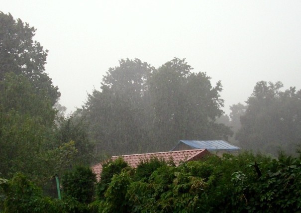 Ulewny deszcz i porywisty wiatr: burza nad Rzeszowem