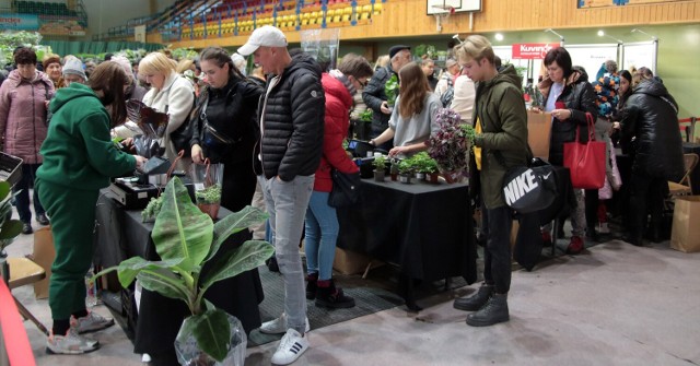 "Festiwal roślin" w hali sportowej na osiedlu Lotnisko w Grudziądzu
