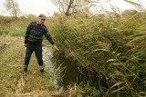Bobry zalewają wioski w gminie Damasławek