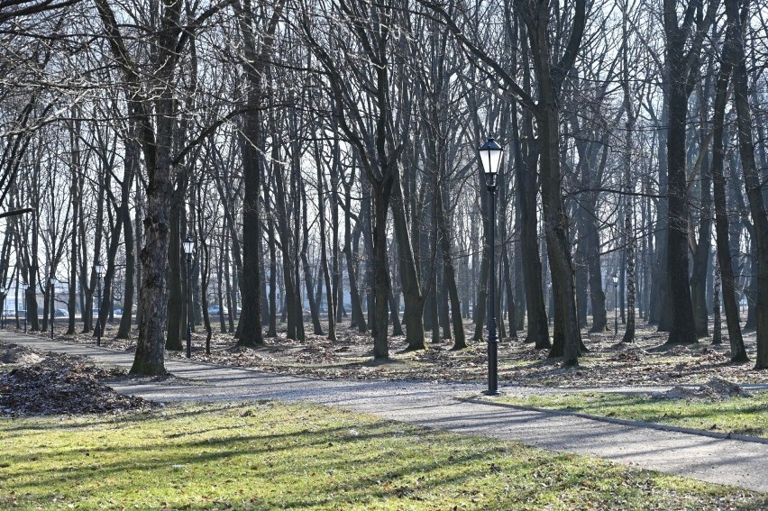 Burmistrz zapowiada, że koniec rewitalizacji nastąpi na...