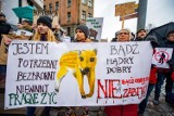 Będą blokować masowy odstrzał dzików. Środowiska antyłowieckie organizują kolejny protest i wycieczki do lasów