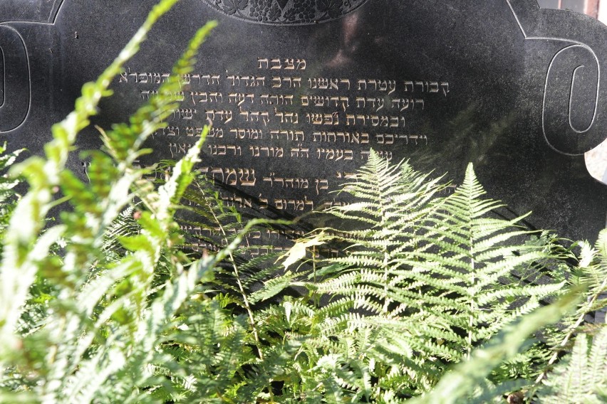 Cmentarz żydowski w Bytomiu to niezwykła nekropolia. Nadal...
