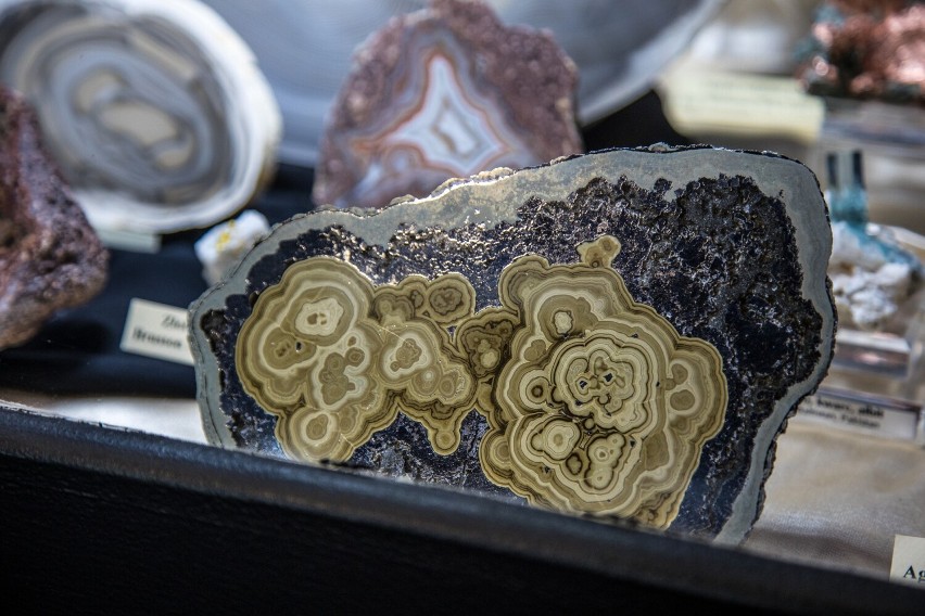 Nietuzinkowa biżuteria, minerały i kamienie szlachetne na wystawie w Rzeszowie [WIDEO, ZDJĘCIA]