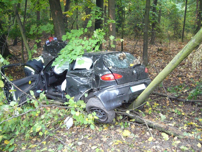 Wypadek na DK 81. Kierowca alfy romeo uderzył w drzewo