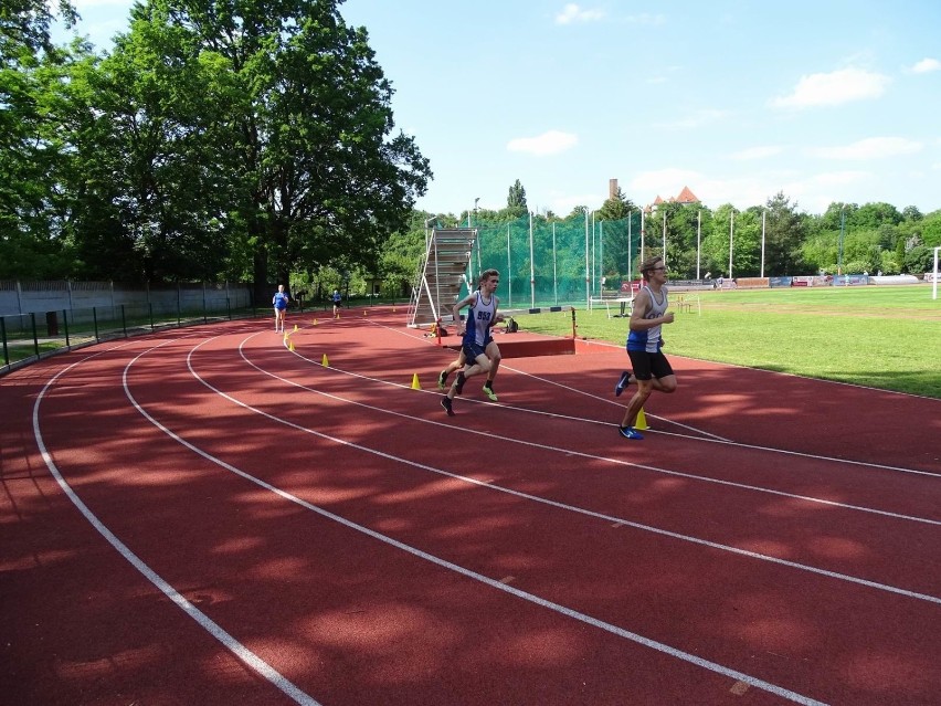 Mityng lekkoatletyczny w Chełmnie