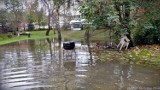 Podtopienia w Jastrzębiu-Zdroju. Osiem interwencji. Zobaczcie nowe zdjęcia z zalanych miejsc