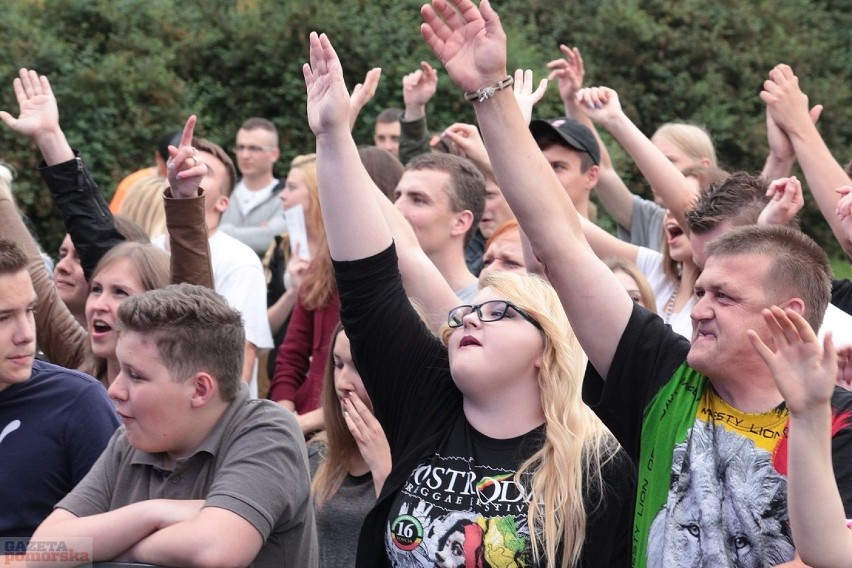 Trwają Dni Włocławka. Na ul. 3 Maja działa jarmark -...