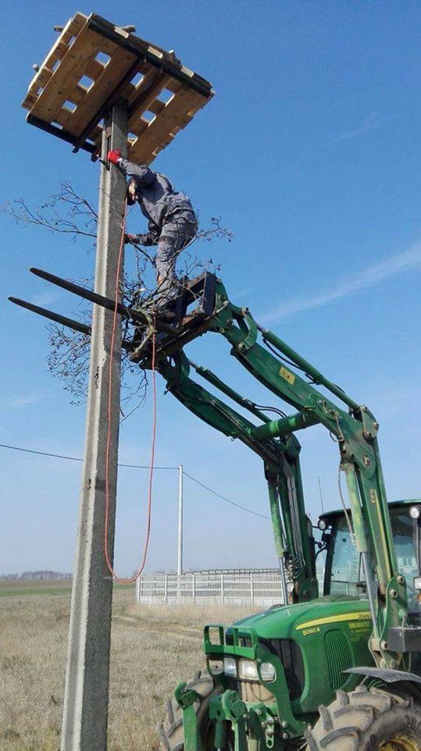 Opatów: Postawili gniazdo bocianom [FOTO]