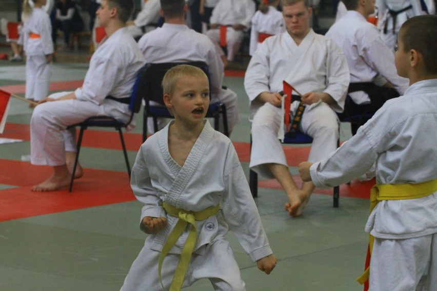 III Turniej Wiosenny o Puchar Łodzi w Karate Tradycyjnym w Łodzi [ZDJĘCIA, FILM]