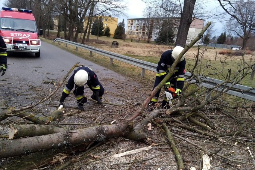 Porywisty wiatr na Podkarpaciu. Ponad sto interwencji strażaków i pozrywane linie energetyczne [17.02.2022]