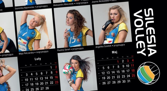 Kalendarz Silesii Volley 2014 miał być dostępny dla kibiców już przed świętami, ale po opuszczeniu drukarni zauważono błąd w adresie strony internetowej klubu i jego dystrybucja została wstrzymana. Wróci lada dzień